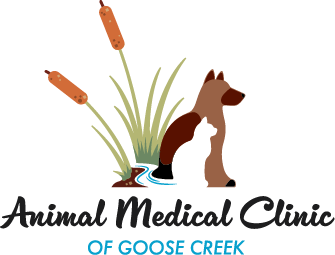 Animal Medical Clinic of Goose Creek